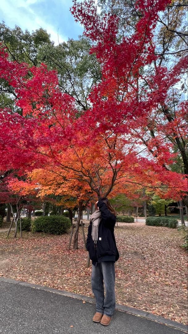 Carhartt J130-M ブラック ジャケット M