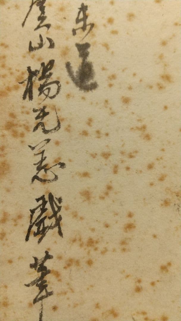 清国 中国 画家 楊无恙 肉筆画讃色紙 しみ目立つ