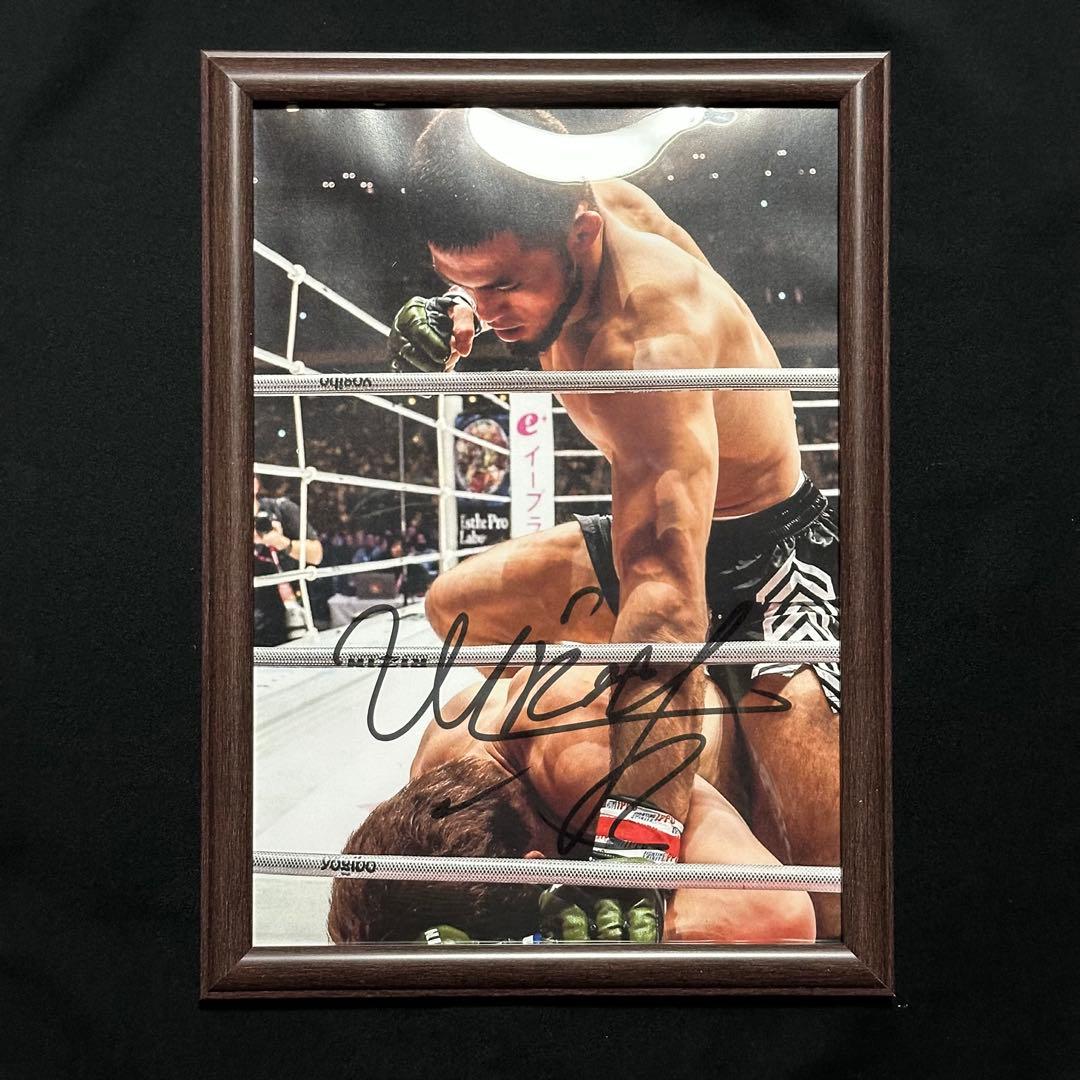 RIZIN シェイドゥラエフ 直筆サイン A4 フェザー級チャンピオン 朝倉未来