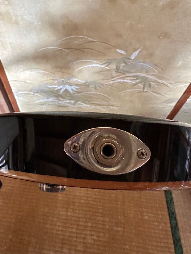 PRS SE Custom エレキギター 青