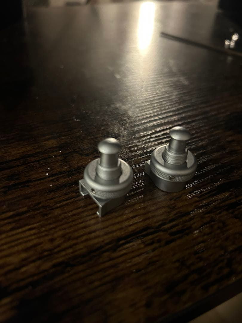 ギター bbqchicken