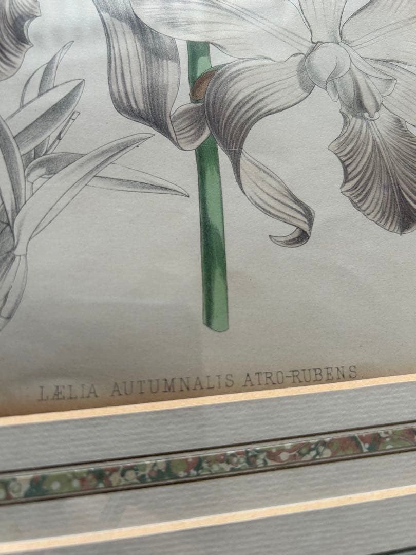 アンティーク　絵画　アート　額装