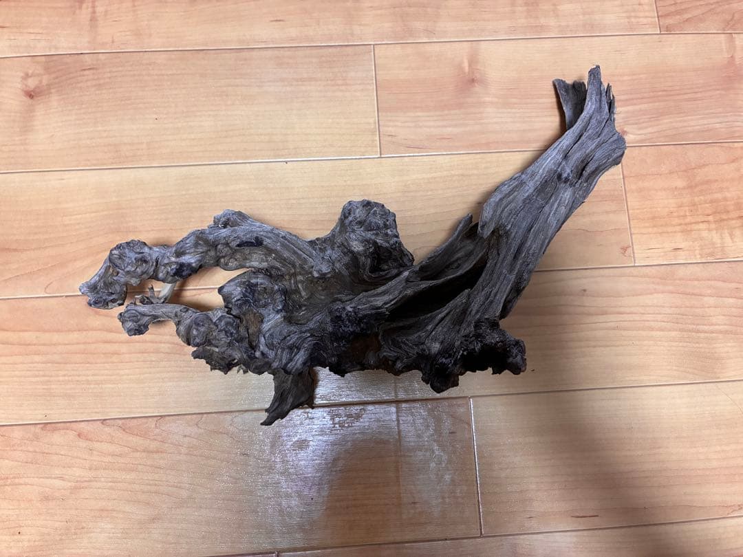 だぃすけ　水槽セット ライト ヒーター ポンプ マット ガラス蓋　流木付き