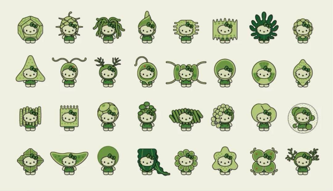 大阪　関西　万博 日本館　藻類　キティ　ピンバッジ　32種　コンプリート セット