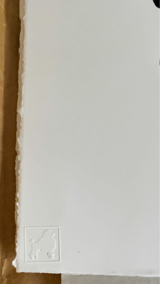 Victor castillo art ビクターカスティージョ　pop art