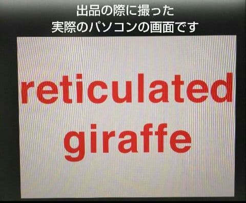 未開封多★グレンドーマンビッツの世界 CD-ROM全10巻＋関連本★9万円で購入