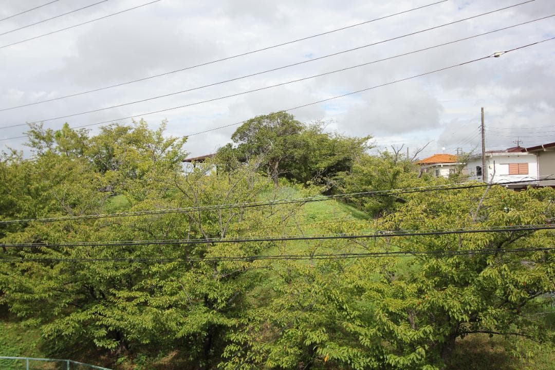 レンズ(ズーム) CANON EF-S 10-22mm f/3.5-4.5 USM #7645