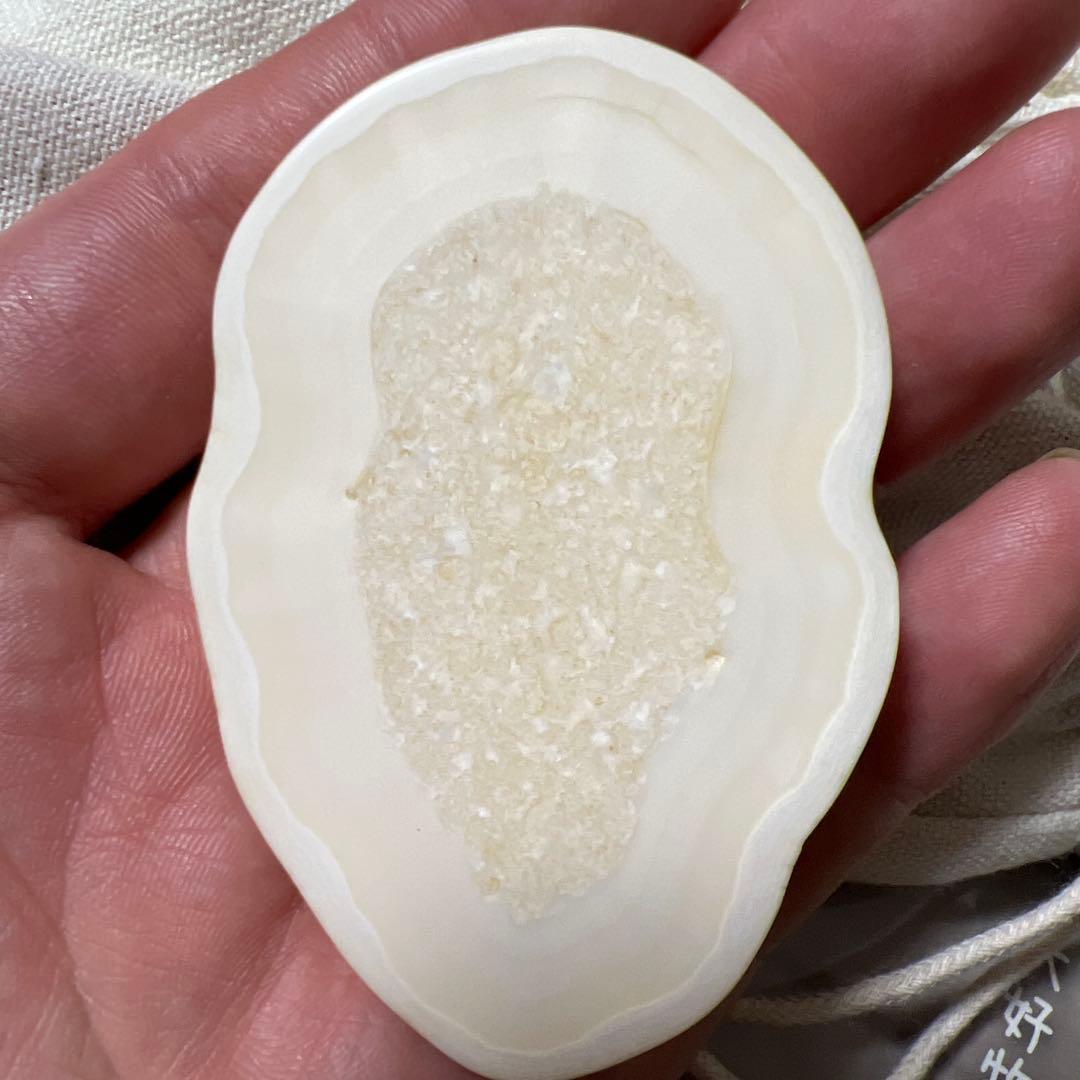 堤げ物 輪切り セイウチ 根付 54g 牙 饅頭