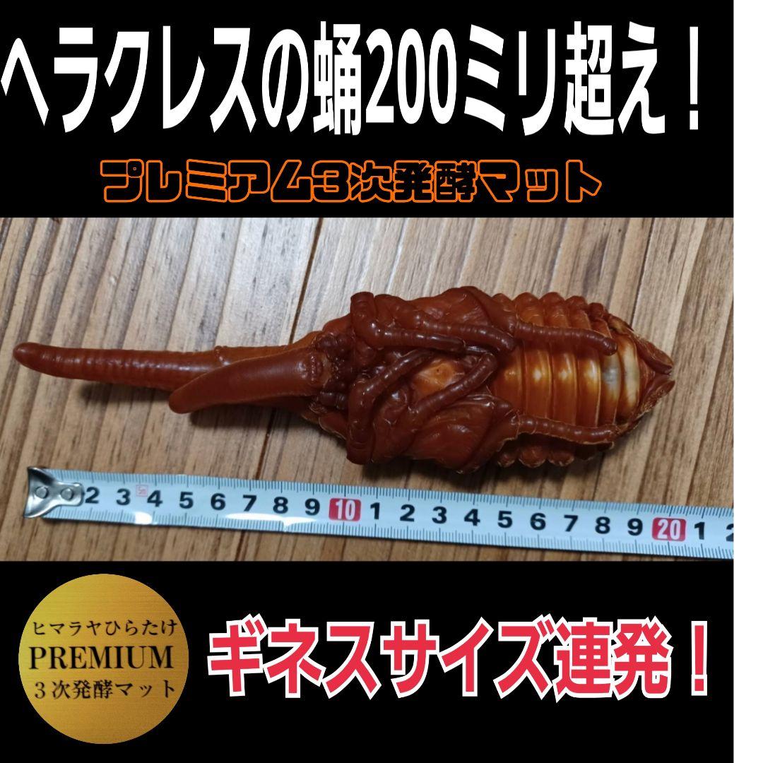 プレミアム3次発酵カブトムシマット　100リットル　ヘラクレス181ミリ羽化実績