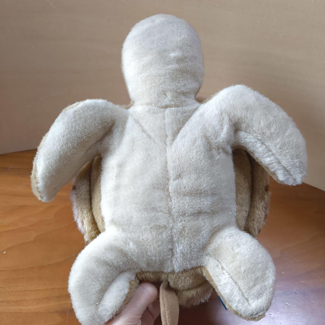 Earth Wind セキグチ　ウミガメ　ぬいぐるみ　アースウィンド　海亀
