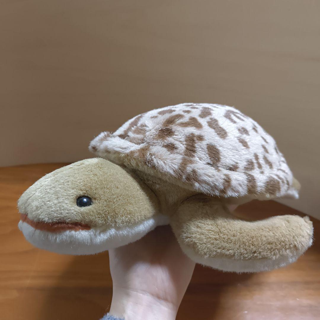 Earth Wind セキグチ　ウミガメ　ぬいぐるみ　アースウィンド　海亀