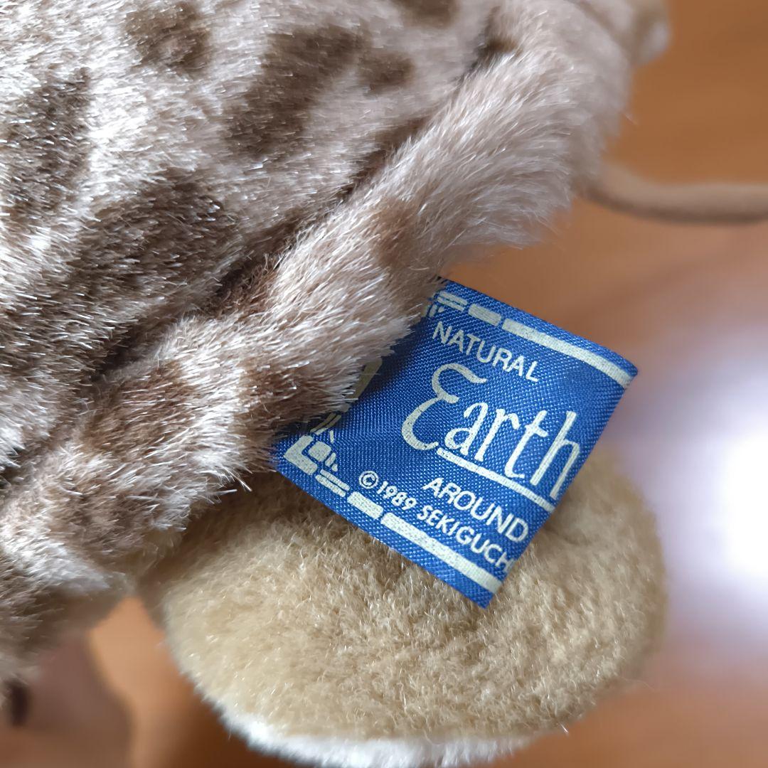Earth Wind セキグチ　ウミガメ　ぬいぐるみ　アースウィンド　海亀