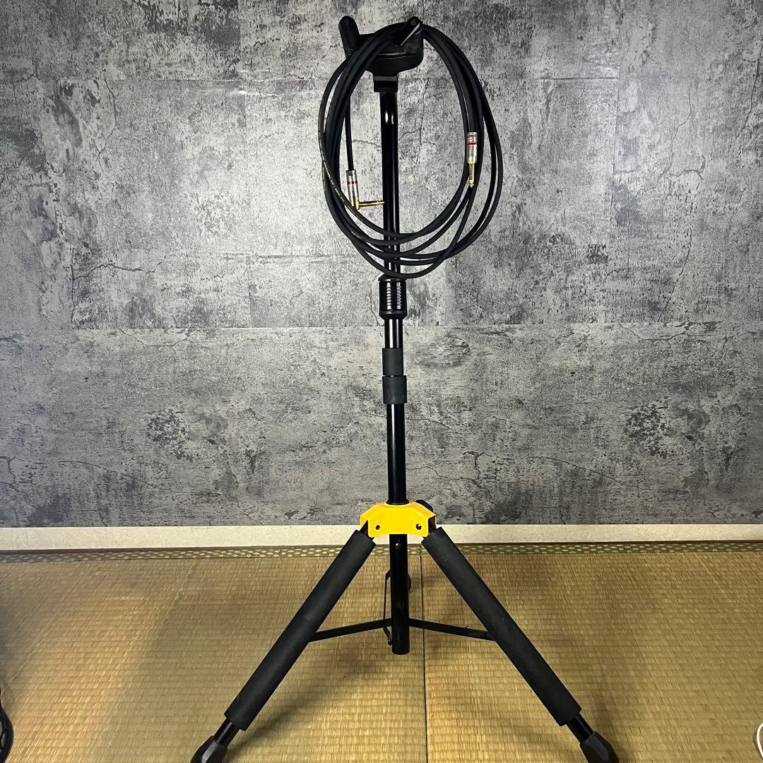 Ibanez RG421HPAM-ABLケース シールド スタンド ピック付き