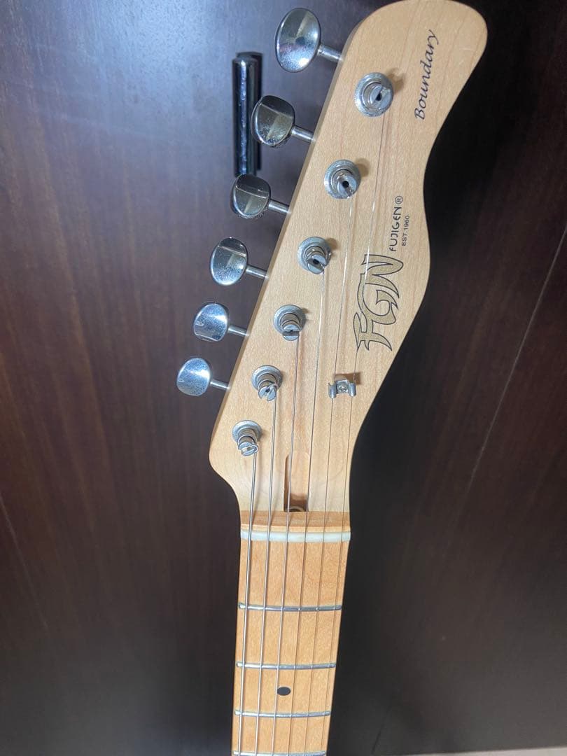 ギター FUJIGEN BIL-M SWH [SPOT MODEL]