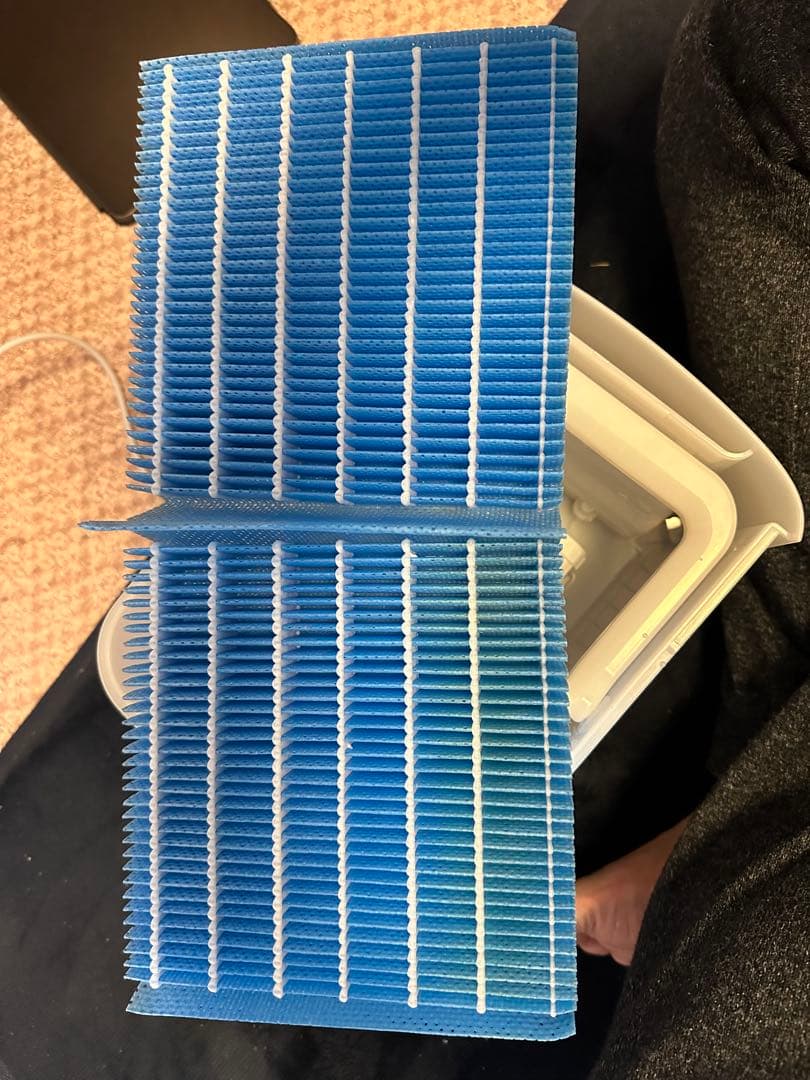 SHARP 加湿器 HV-L55E8-W 置き型