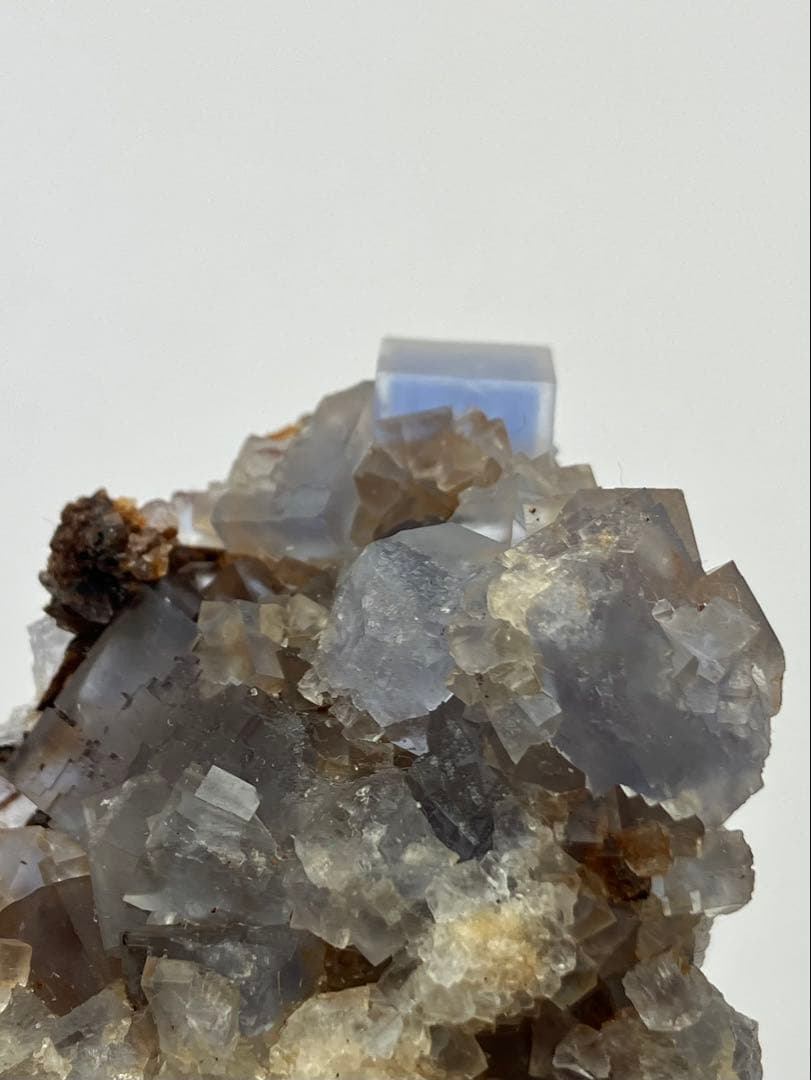 フローライト　ブラックフォレスト　黒い森