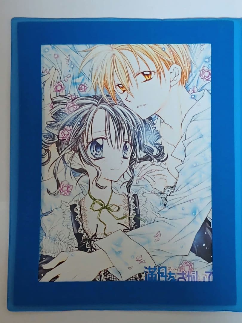 りぼん　スペシャル　キャラクターカードコレクション　満月をさがして　30種31枚