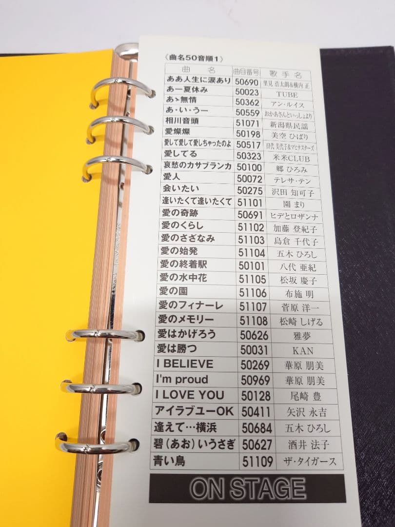 オンステージ パーソナルカラオケ Z-PK1200G・Z-PKD2