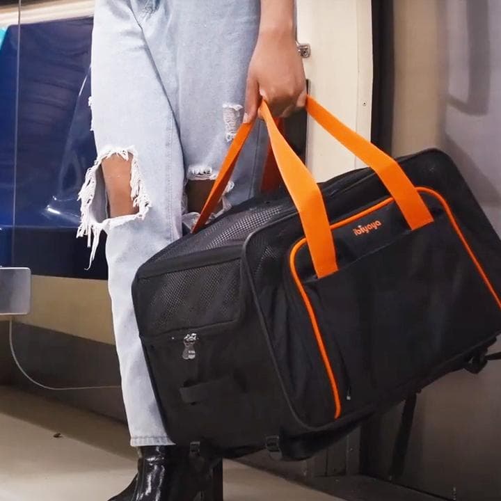 Ibiyaya　ペット用カート　ストローラー　FS2319-B　【平行輸入品】