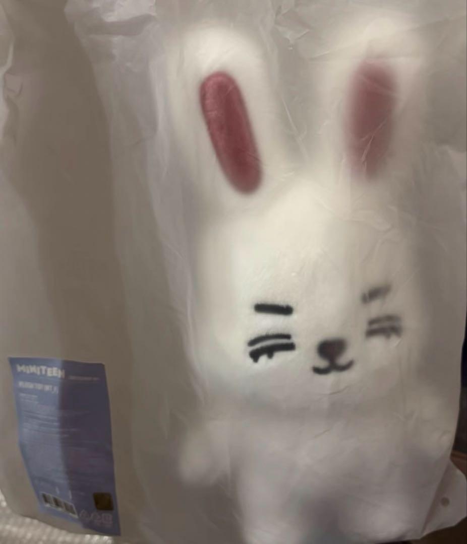 セブチseventeen miniteen エスクプス ぬいぐるみ チェチェリー