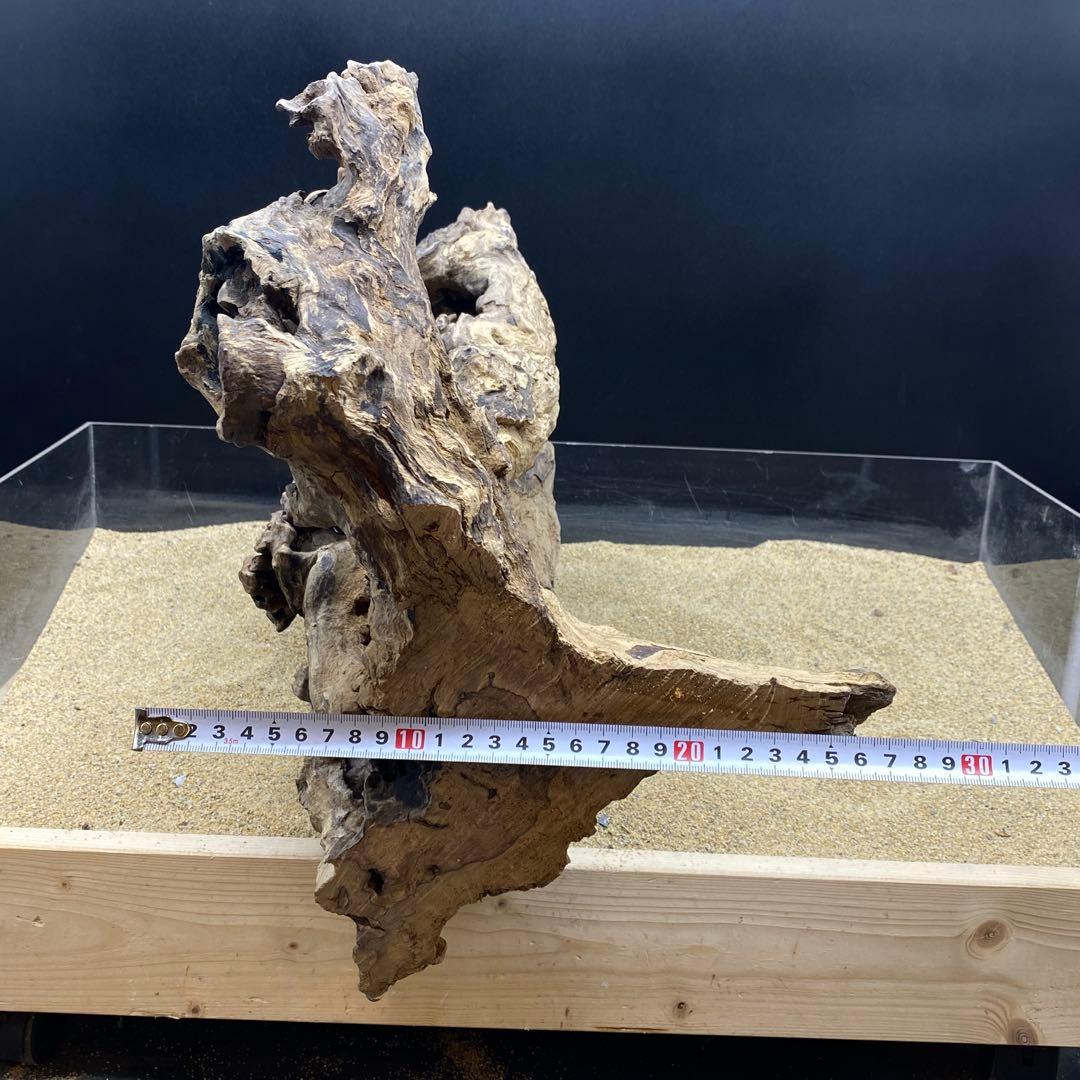 MJW-6617 ジンジャーウッド　天然流木　アクアリウム　爬虫類