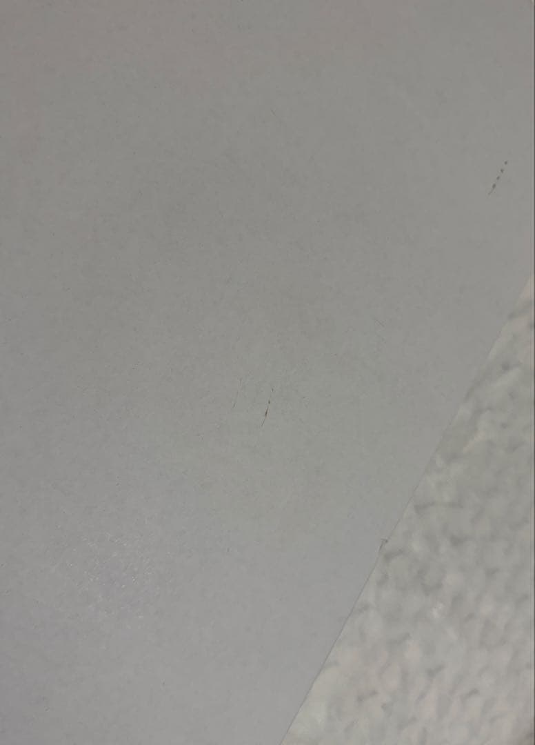 ドロヘドロ 複製原画 原画展 サイン入り