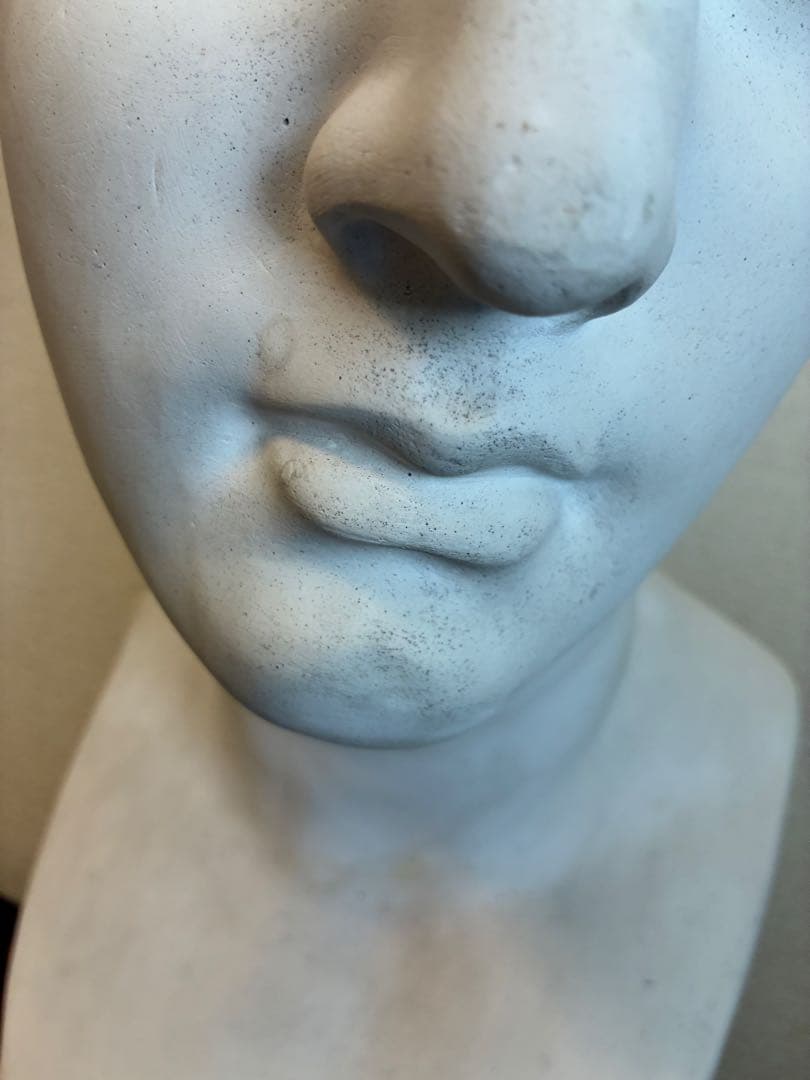 石膏像　ミロのヴィーナス　胸像　オブジェ　置物　美術　デッサン　アート　レトロ