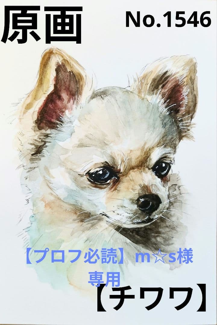 【チワワ】手描きイラスト 原画 《1546》