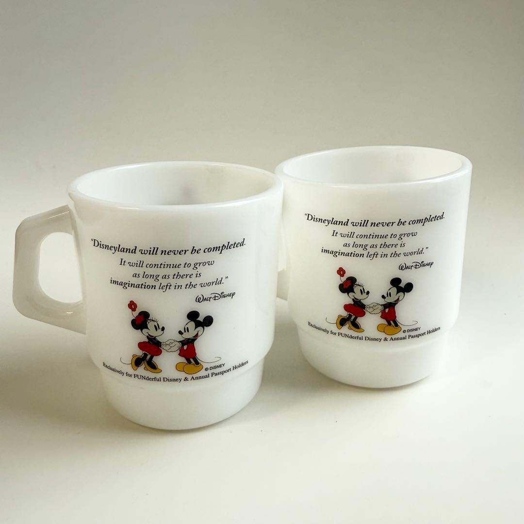 ファイヤーキング 東京ディズニーリゾート マグカップ セット ミッキー ミニー