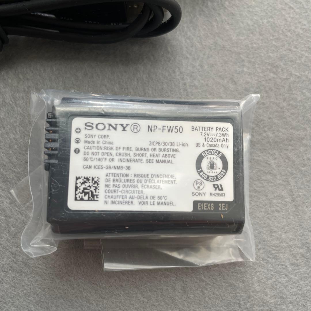 SONY α6100 ボディ