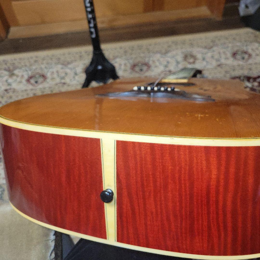 【ジャンク】greco 303 DOVE グレコ セミハードケース付き アコギ