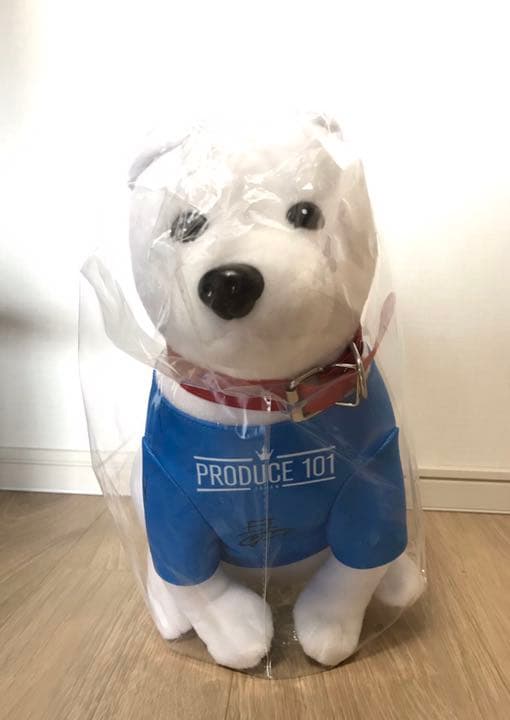 INI SoftBank 直筆全員サイン