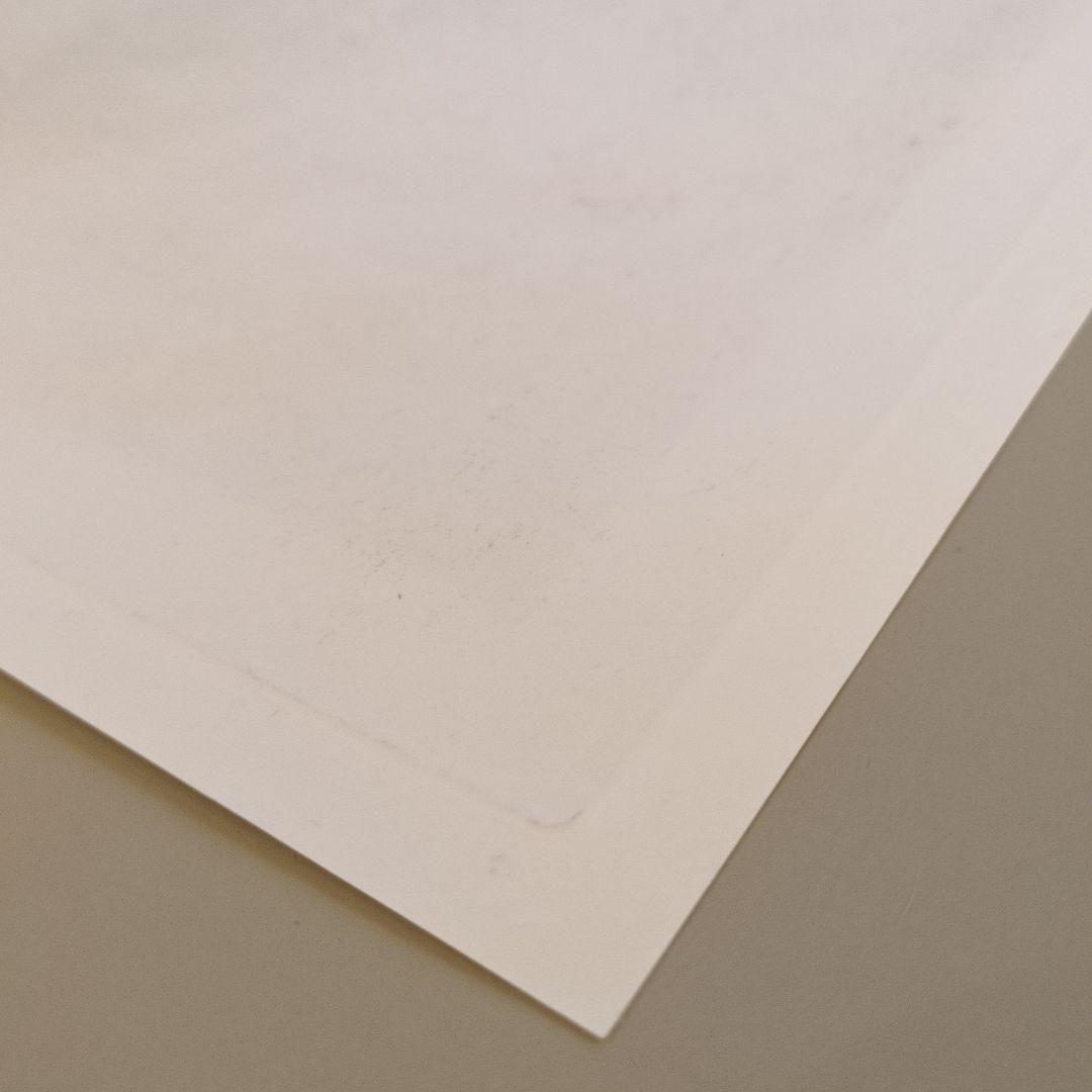 ローマ建築 ミネルウァ神殿 アンティーク版画