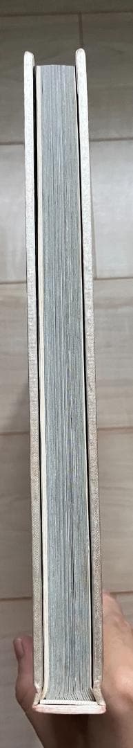 日本賛歌　NIPPON SEEN FROM THE AIR（写真集）