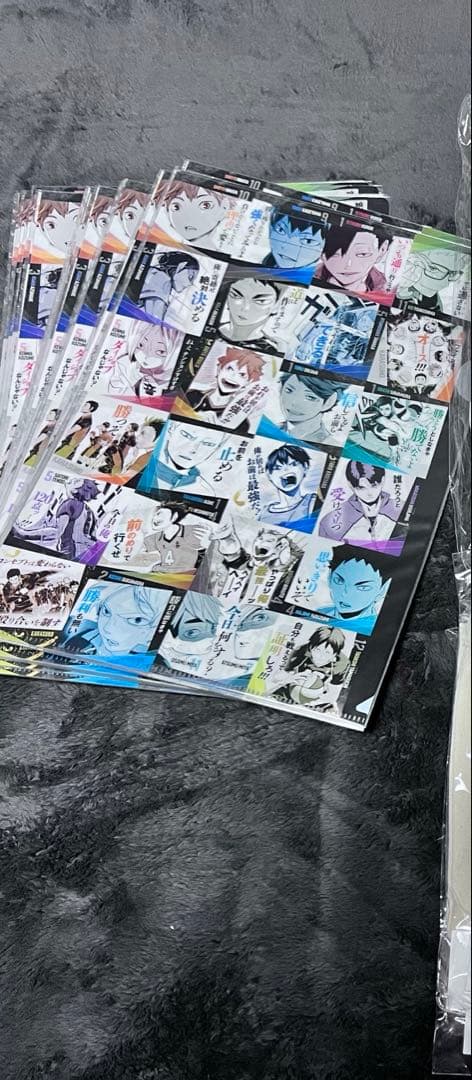 ハイキュー アートコースター柄 クリアファイル 2枚セット　10点