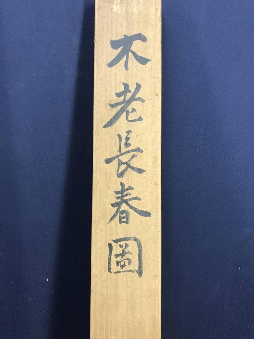 真作/水田竹圃/不老長春図/老松図/バラ図/花図/掛軸/名家伝来/AE-21