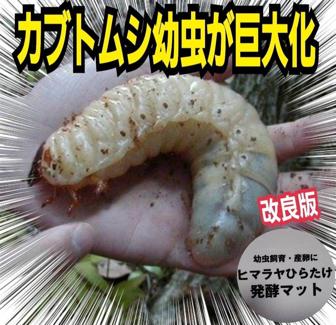 カブトムシ幼虫が大きくなる！発酵マット【90リットル】保存に便利なチャック付き袋