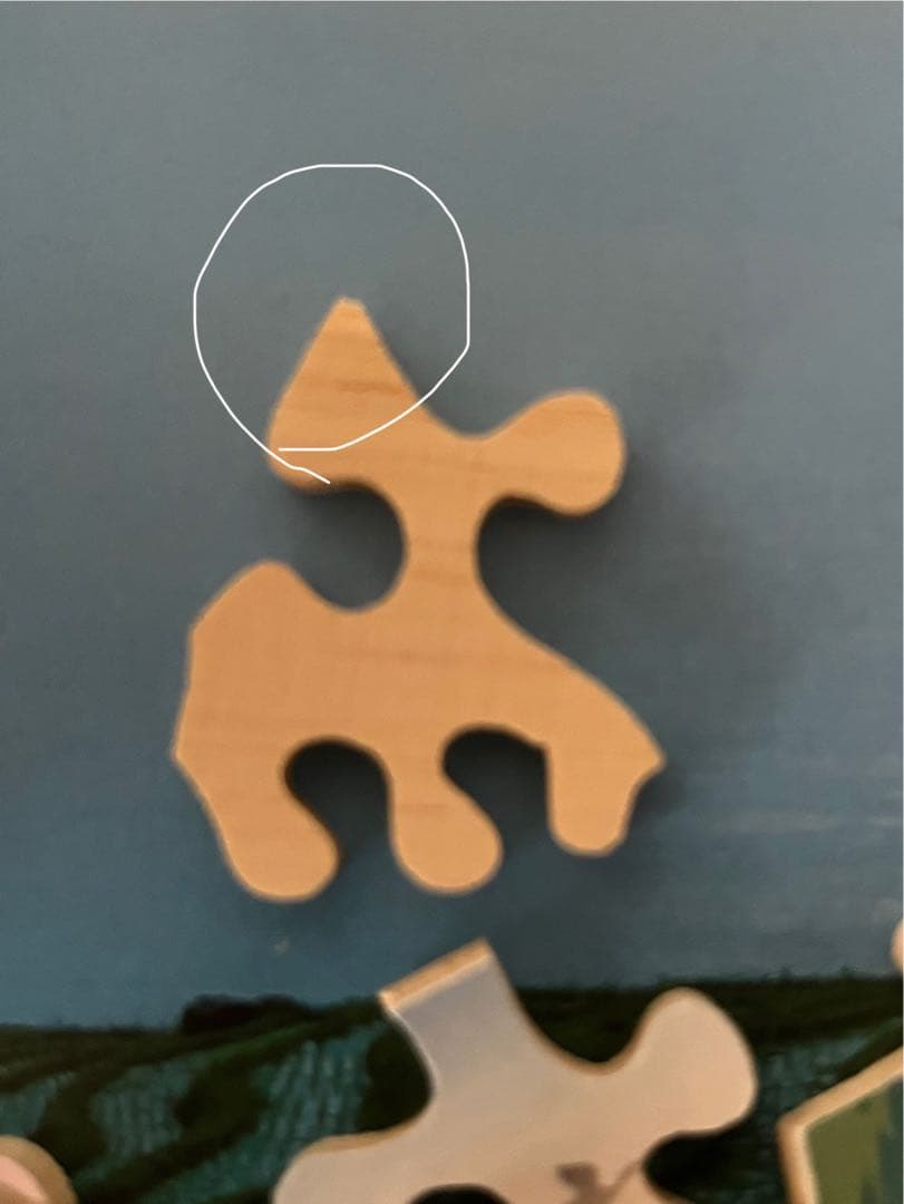 スイス　naef バーゼル　Grun80 木製パズル　48pガーデンExpo