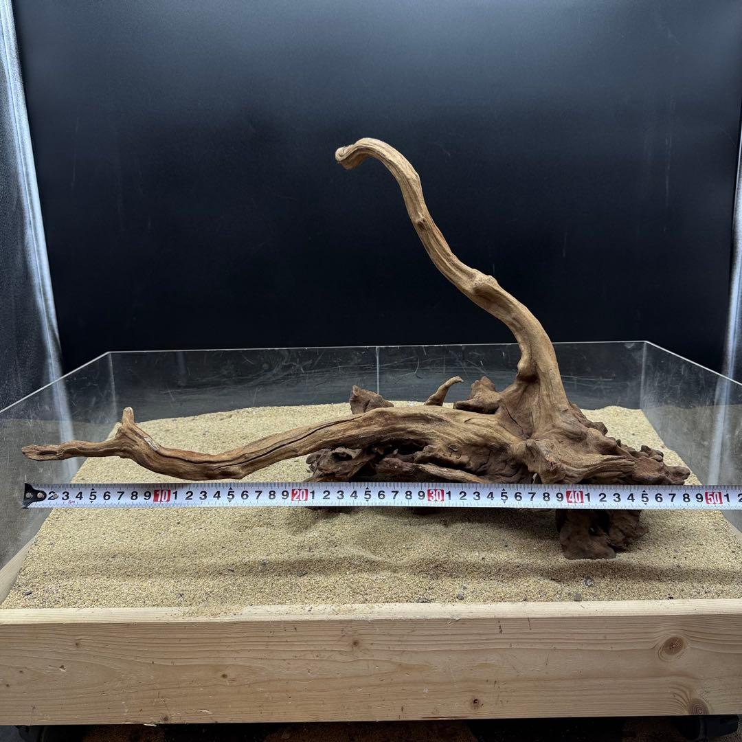 MSRW-7168 天然流木1点物　スリムウッド　アクアリウム