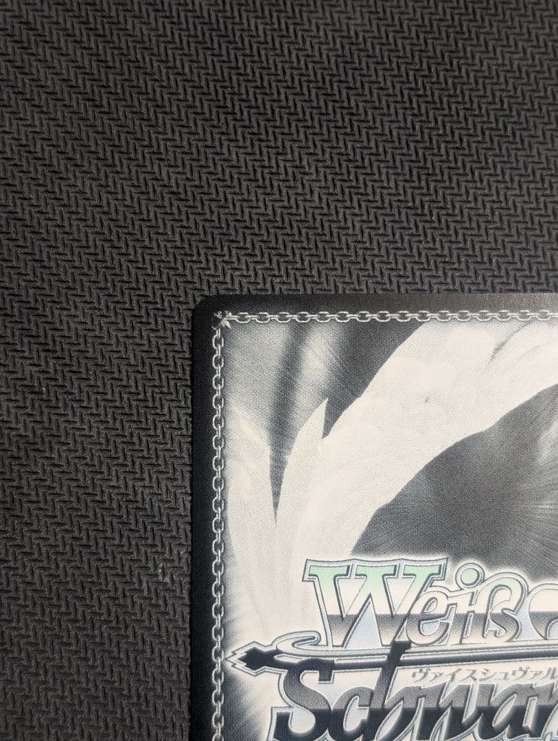 シ*見様 ヴァイス　シュヴァルツ　アズールレーン　航空母艦　エンタープライズ　S