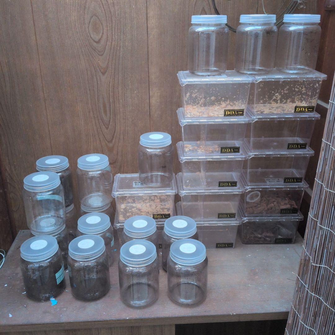 幼虫飼育用プラスチック容器4個セット