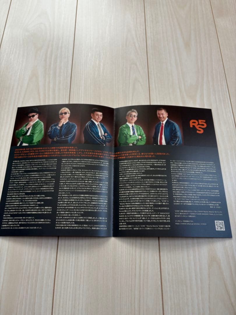 激レア6点！早い者勝ち！RIPSLYMEグッズＡ４デビューチラシなど