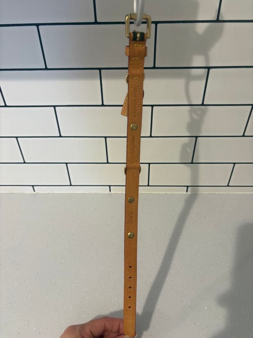 LOUIS VUITTON 小型犬用　リードセット