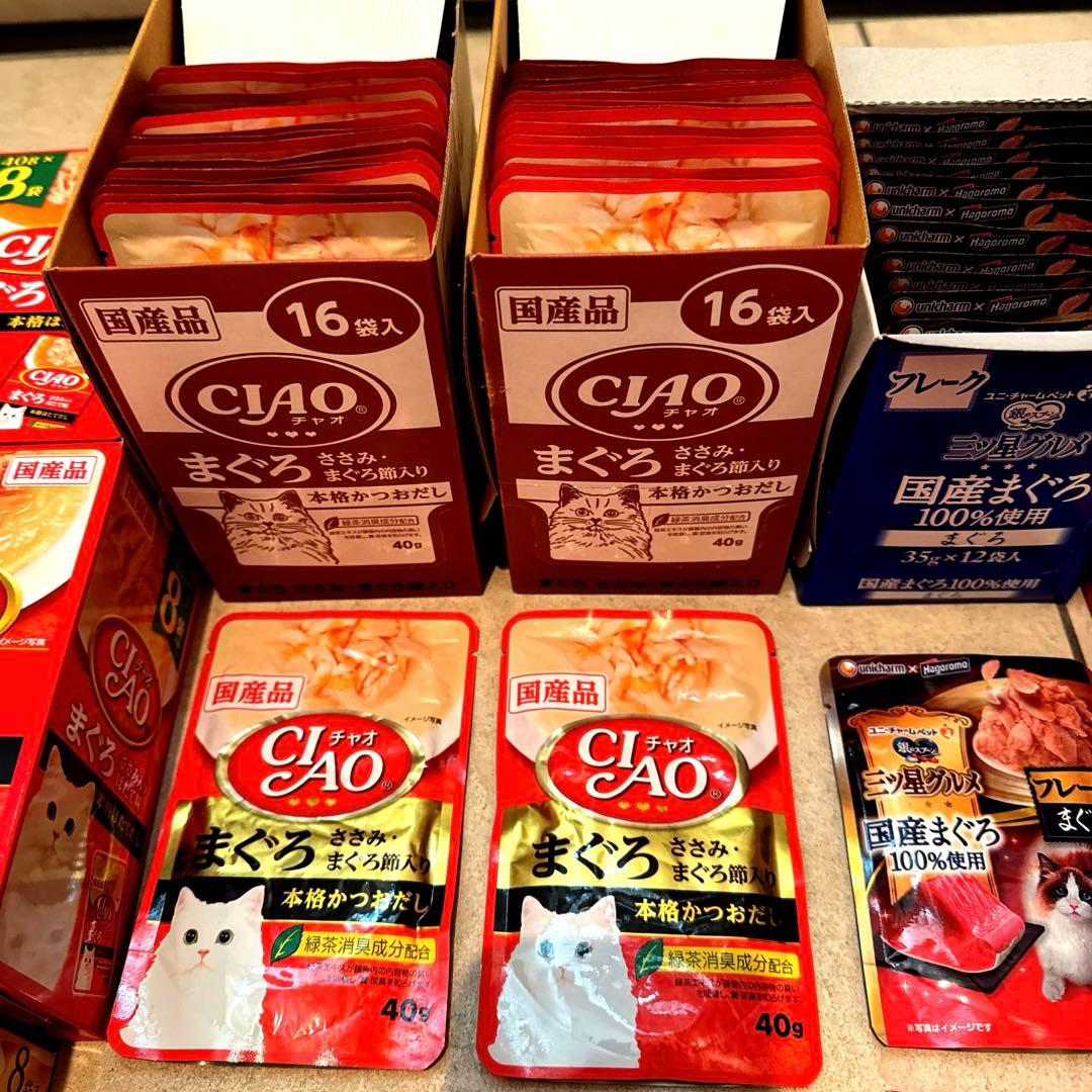 猫N 画像1 ＋ 12 安い！