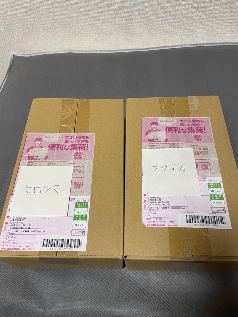 スペシャルBOX ポケモンセンター フクオカ ヒロシマ トウホク×2 計4BOX