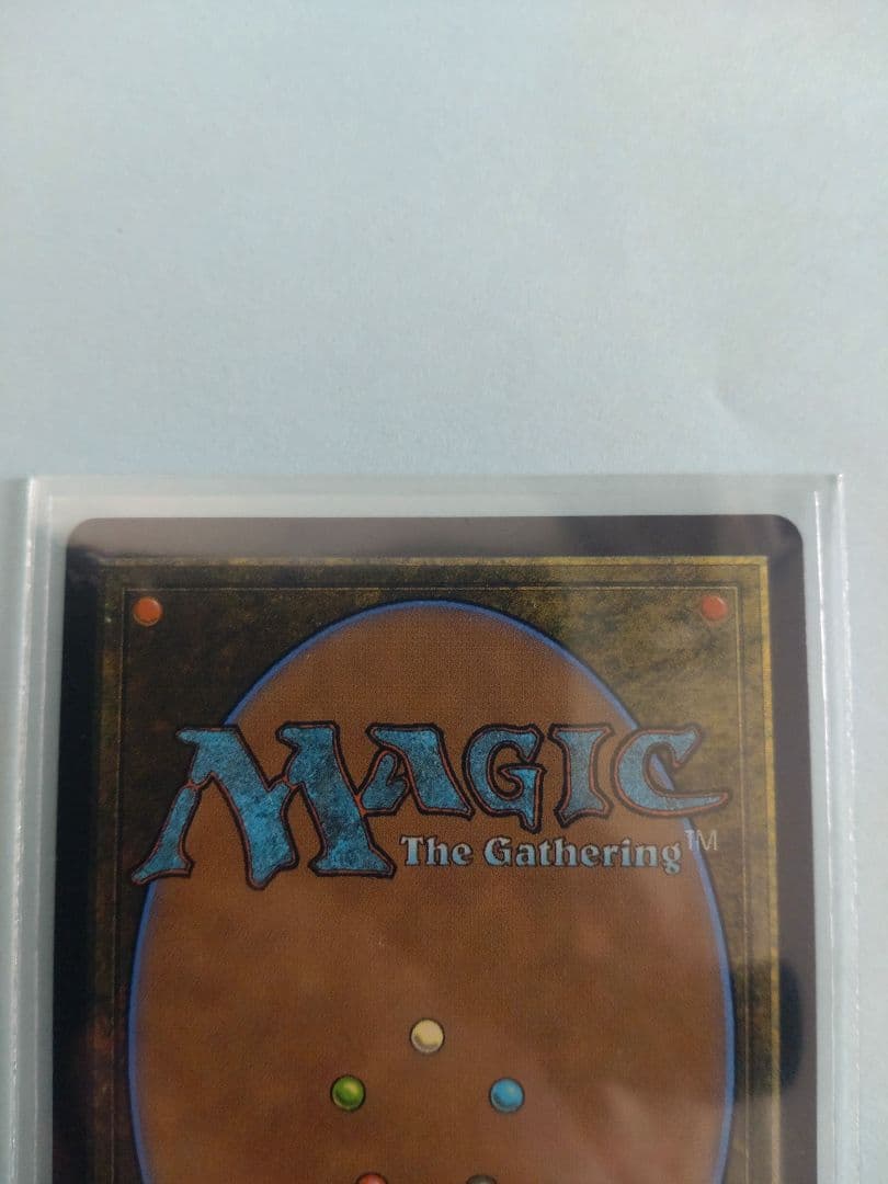 沸騰する小湖　ドラゴンスケイルfoil 土地 MTG