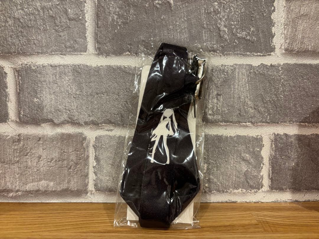 Sony NW-S764 ウォークマン 初音ミク