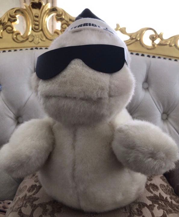 激レア☆サンアローオバケのテリオットぬいぐるみ☆