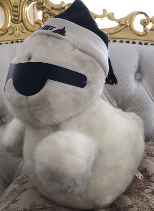 激レア☆サンアローオバケのテリオットぬいぐるみ☆