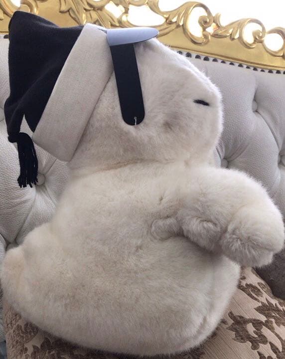 激レア☆サンアローオバケのテリオットぬいぐるみ☆